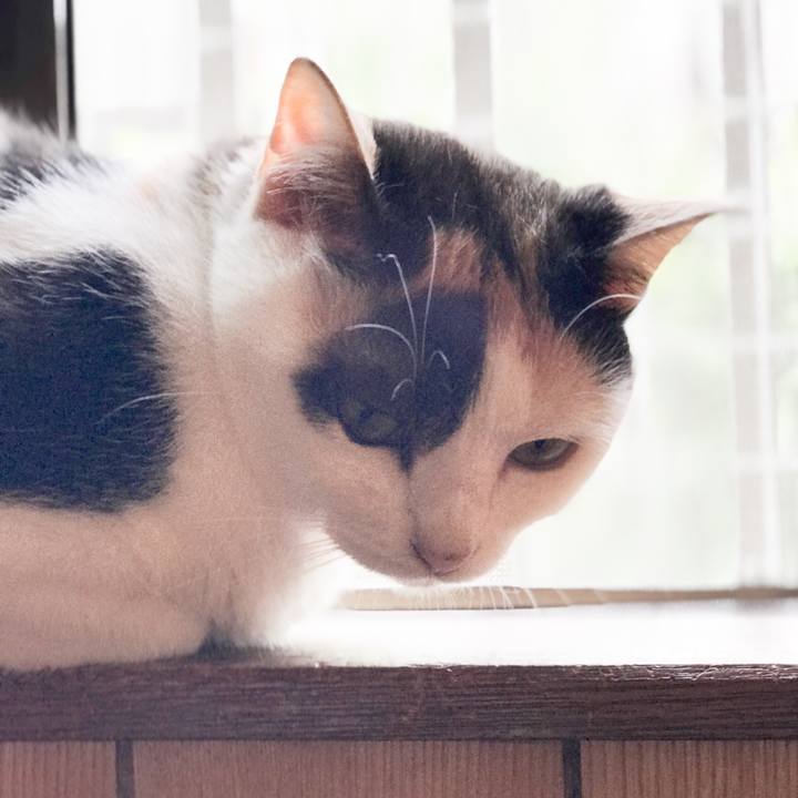 56e3db10 3b07 46e1 a899 4469ed8f83a3 1531234852006