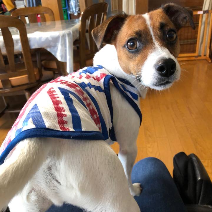 56e4103e 99e0 4d5b 89da e50bf99d4104 1568069272640