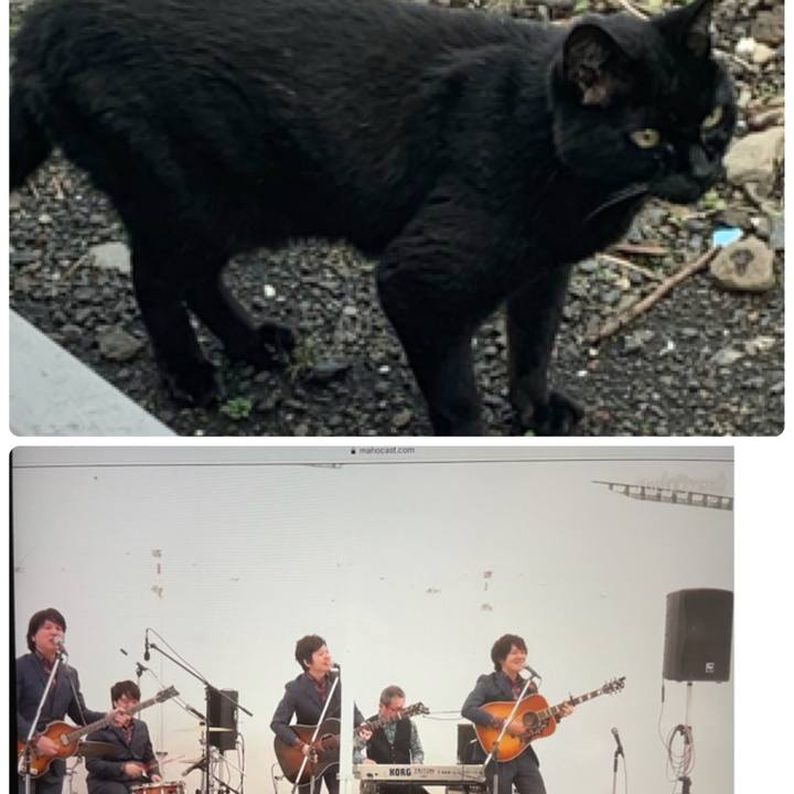 56e41e65 6601 4c48 b735 5448f53e38d0 1622953079443