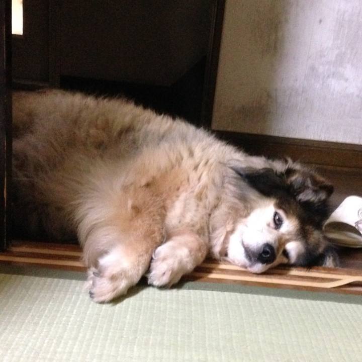 56e422c1 a46b 470f bb73 b0f8b7266b2c 1548625125922