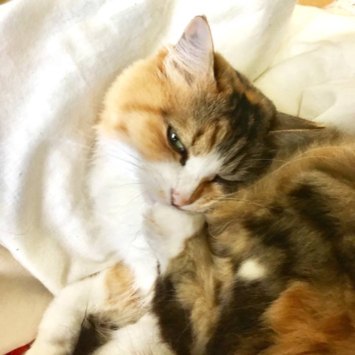 56e423b9 1e9e 4429 9cd0 a2f65f6fb367 1561868238585