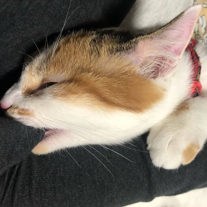 56e44921 0cdf 4796 8011 e388d26fb1cf 1572356165140