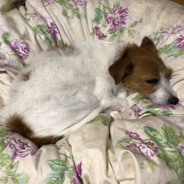 56e44faf c0d6 4ceb a68e 3c9bdc2ee3b3 1540728079250