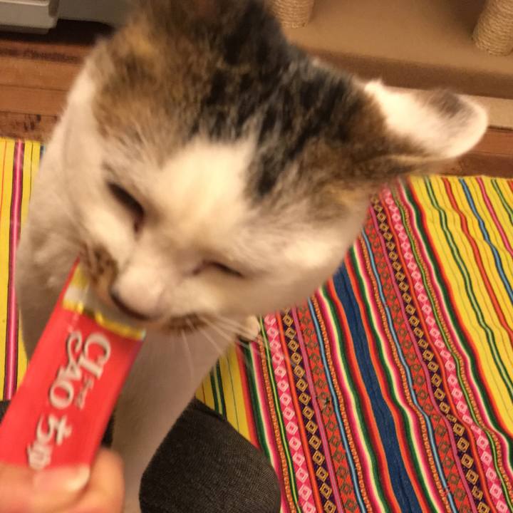 56e45834 d443 4389 887c c6eeda5e18ff 1522467189670