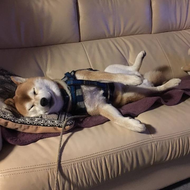 56e45e2a 5644 4ff0 b9bc 49026d5776e0 1549280745275