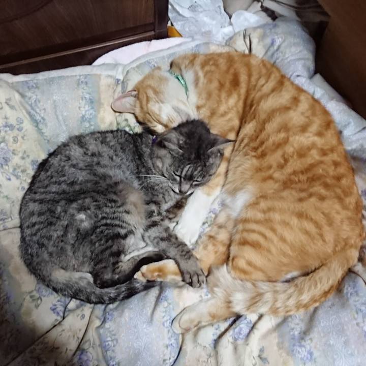 56e46e4f 3d2b 4904 8939 4485803bd4a9 1583757674082