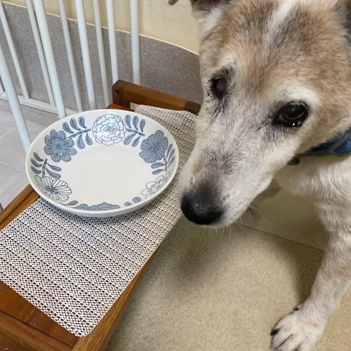 56e47e8d 343d 4b4a 9c16 29ed61321a7a 1718145202057