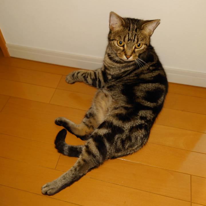 56e47f78 ad28 4949 9e26 248e21683ccb 1650678300955