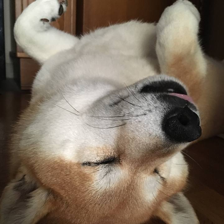 56e481c4 b93e 4d06 bb92 9dcbdc6a2f4d 1565932394156