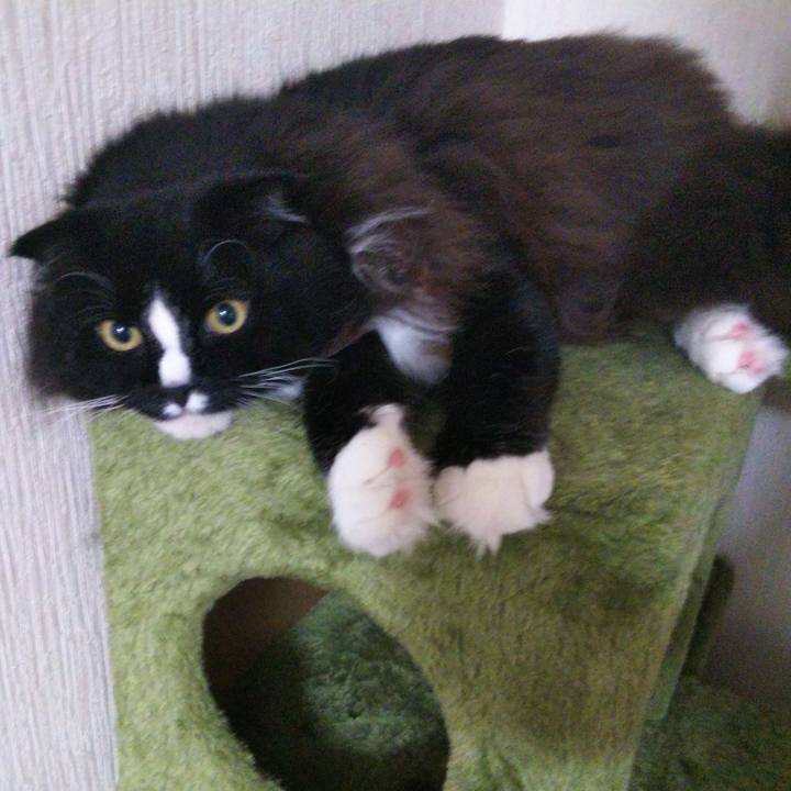 56e4e62c f544 490d b5e1 44509717def0 1660482675637