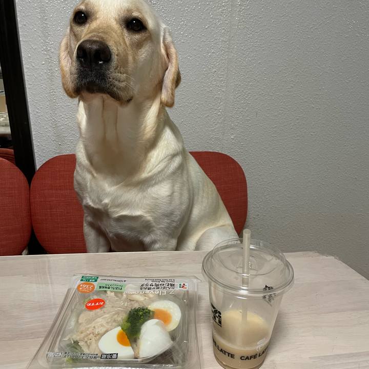 56e50b27 1906 444c a783 926083485586 1663542072803