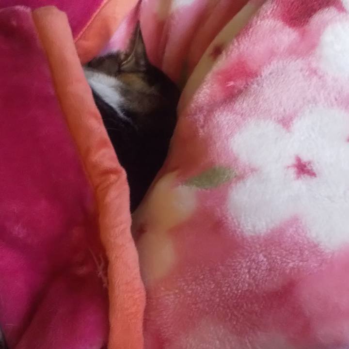 56e5187c 97cc 4909 88d4 bbdb5e860627 1672733385490