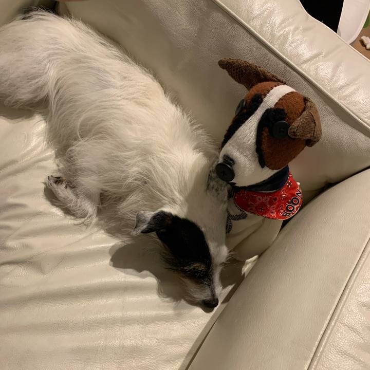 56e5679e 68c4 4217 8b71 541471b3f300 1753189942641