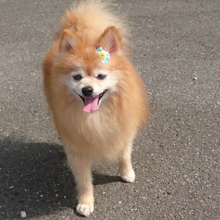 56e5824b 2517 472a 9021 aa6c97e63693 1541673226282