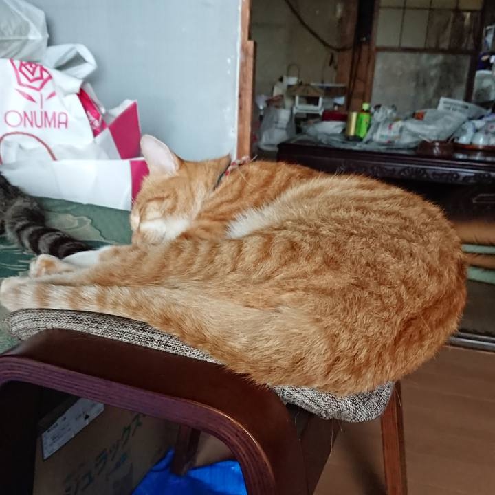 56e59dfd bfd4 46c9 b915 b9f8077d401c 1565942109464