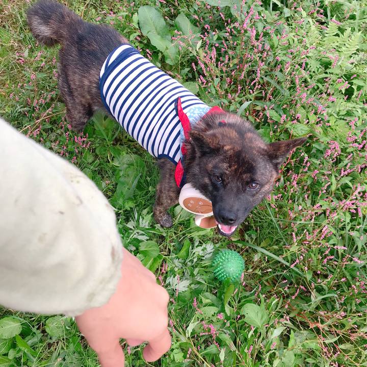 56e5a96b 418c 4644 ae7c 9685b108cda7 1508154570892