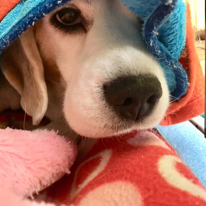 56e5ccee 5fdf 4664 becd be6ab2586dc9 1547181065480