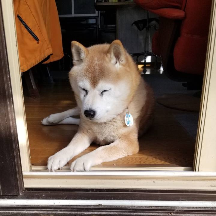 56e5d1c1 ff46 4577 966d 046f9c9a407e 1737507755309