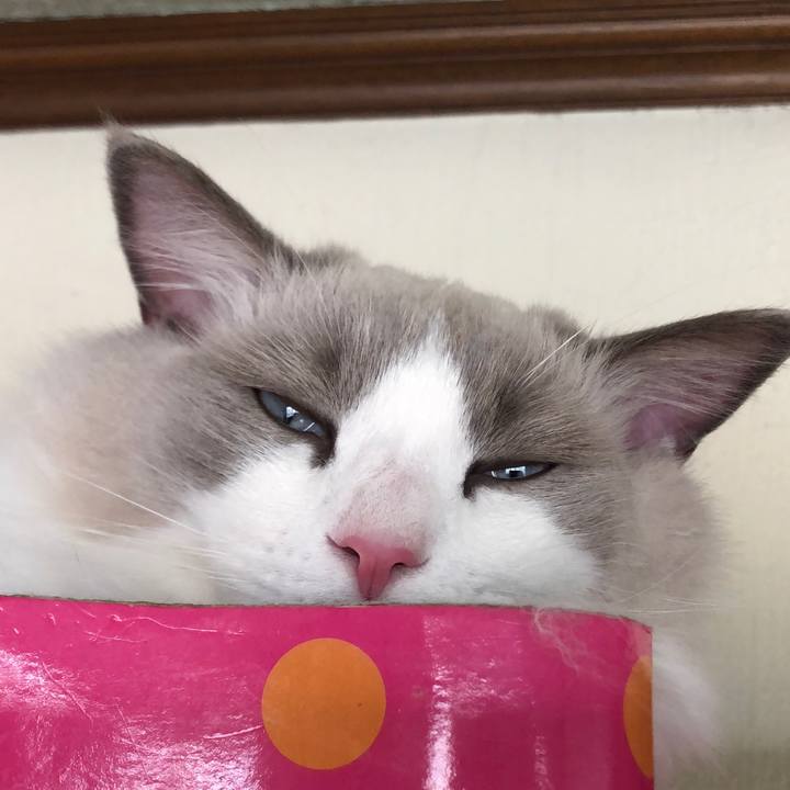 56e610ce aeab 41fa 8590 092bc9827610 1575074619671