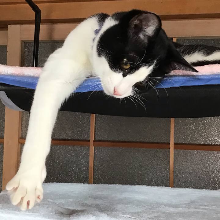 56e66d48 b7ff 48ef b3d1 51db17df201c 1639452387486