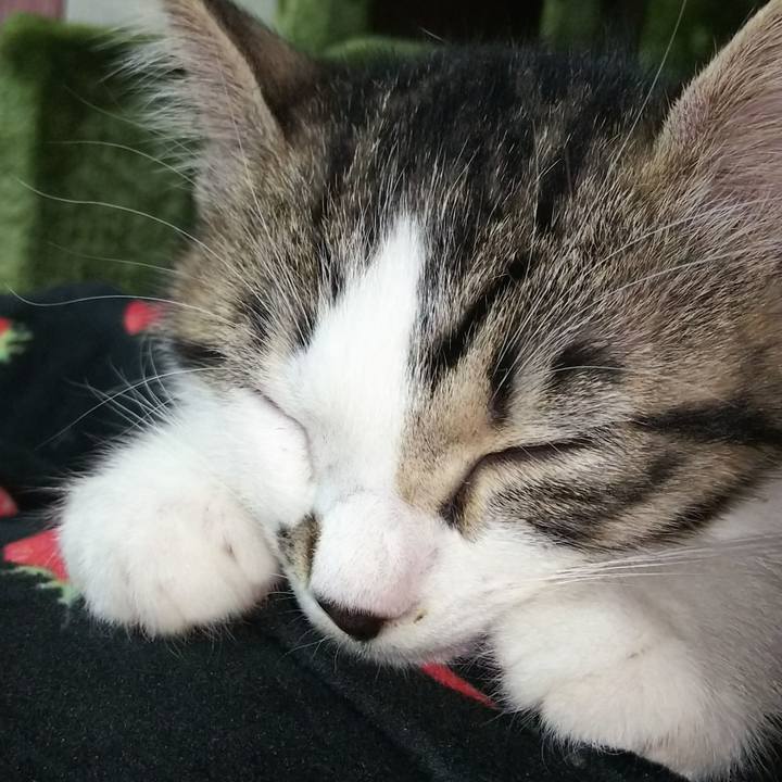 56e67405 4b1c 451d a345 b347d714bc6c 1614946741104