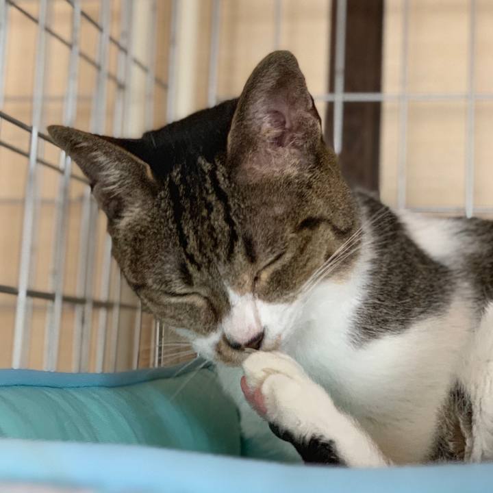 56e67810 3a95 462f a18f e557d9fa0141 1560904518965