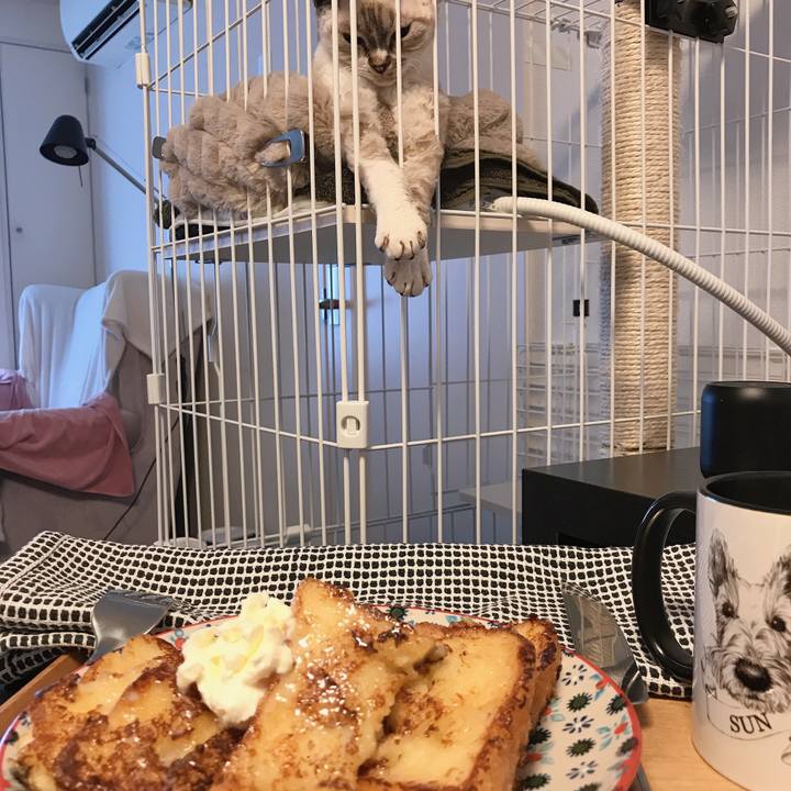 56e67d4e a82e 480a aed8 54262f552fae 1589003781132