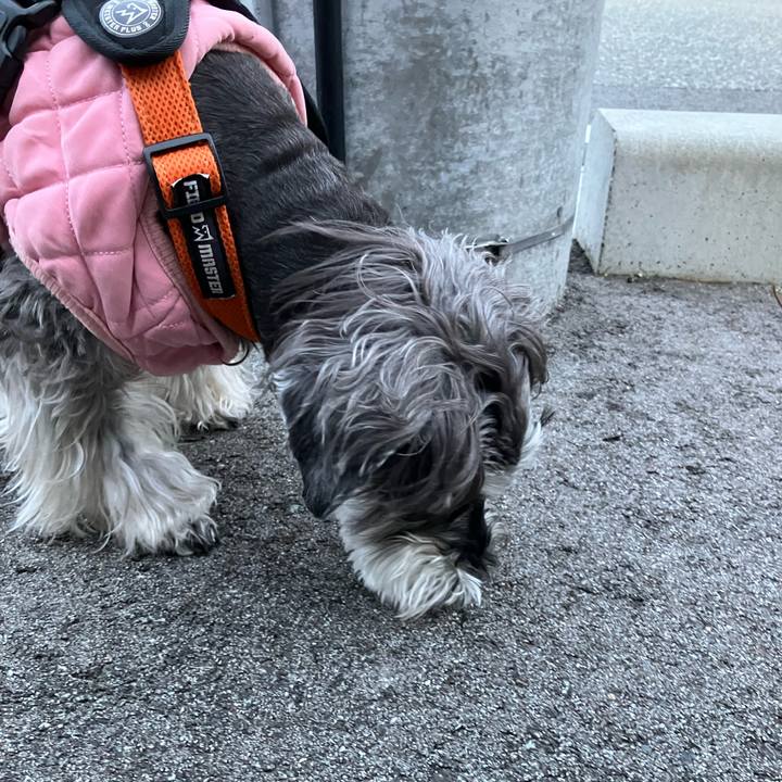 56e68d28 9772 4aad 83e1 3275238726f6 1773265733211