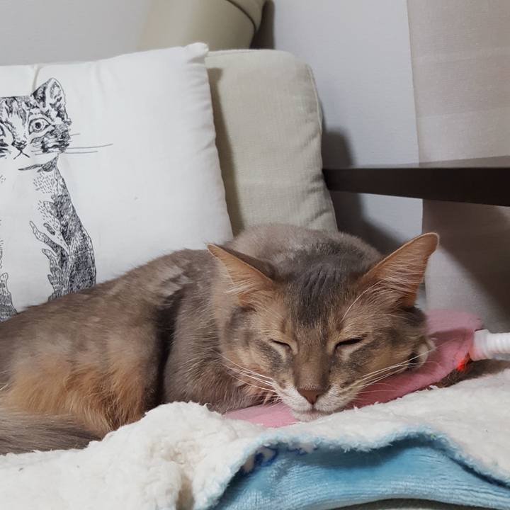 56e68df5 8517 42a3 8d95 2049a56274be 1578209627971