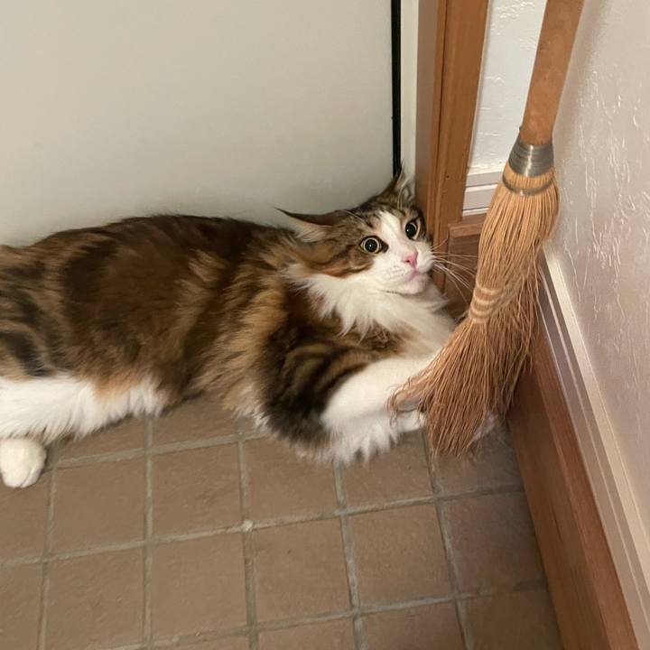 56e6a04c eb94 4d19 966d c3d0c9d394a8 1668800945753