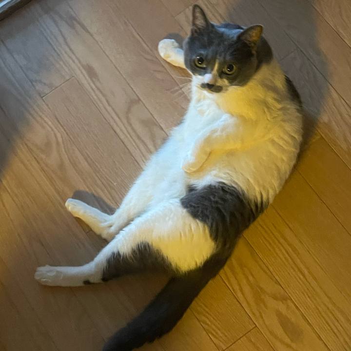 56e6d207 007d 467f 9943 89560f9584dc 1745789234944