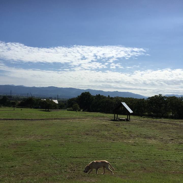 56e6f2c9 76b7 40b0 ba89 48b0e2a01cca 1559238032633