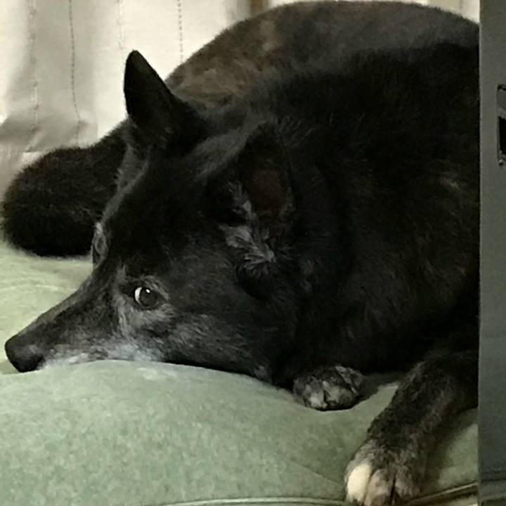 56e7235d d74c 4923 b9dc 2b5d950ccef1 1517983227216