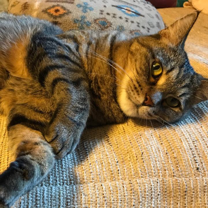 56e7338f 7aad 49ef b866 3b1065c201a2 1534666941931