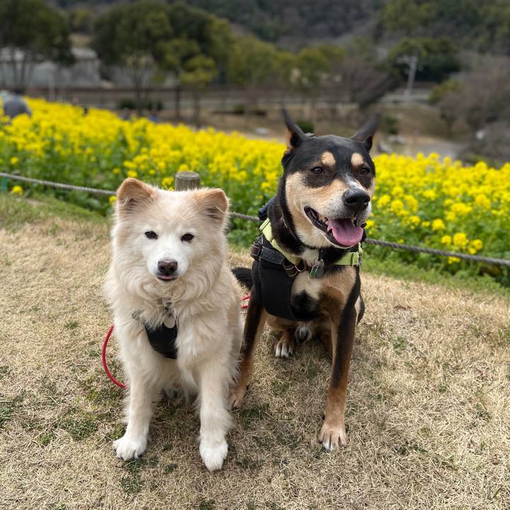 56e737c3 a551 4362 a1cb c299ad8442aa 1709973019119