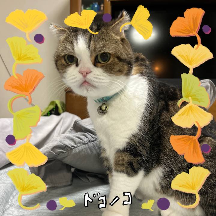 56e73eb5 f426 4190 ad49 6ca7d83b5870 1729112579642