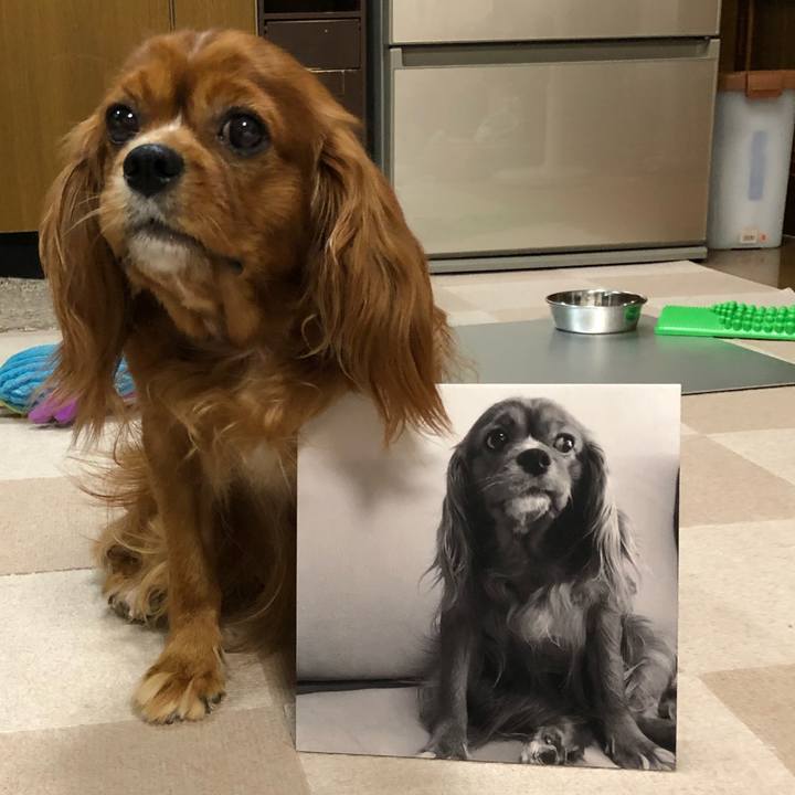 56e76d59 807e 433e 896c b67de52ac830 1594207752391