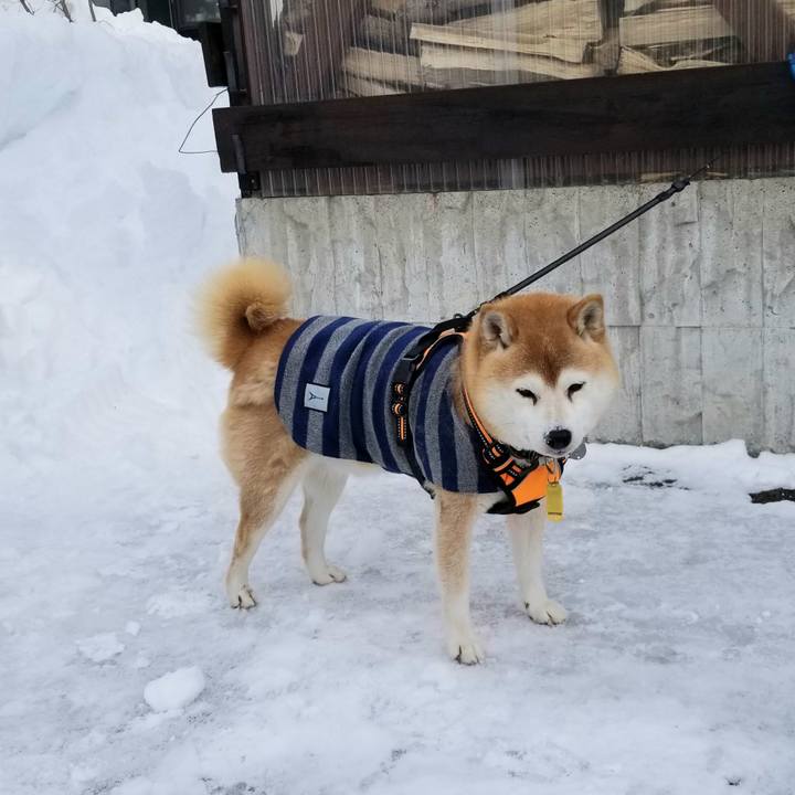 56e7ac50 520d 4ee6 b8d4 3249f1720055 1641442140934