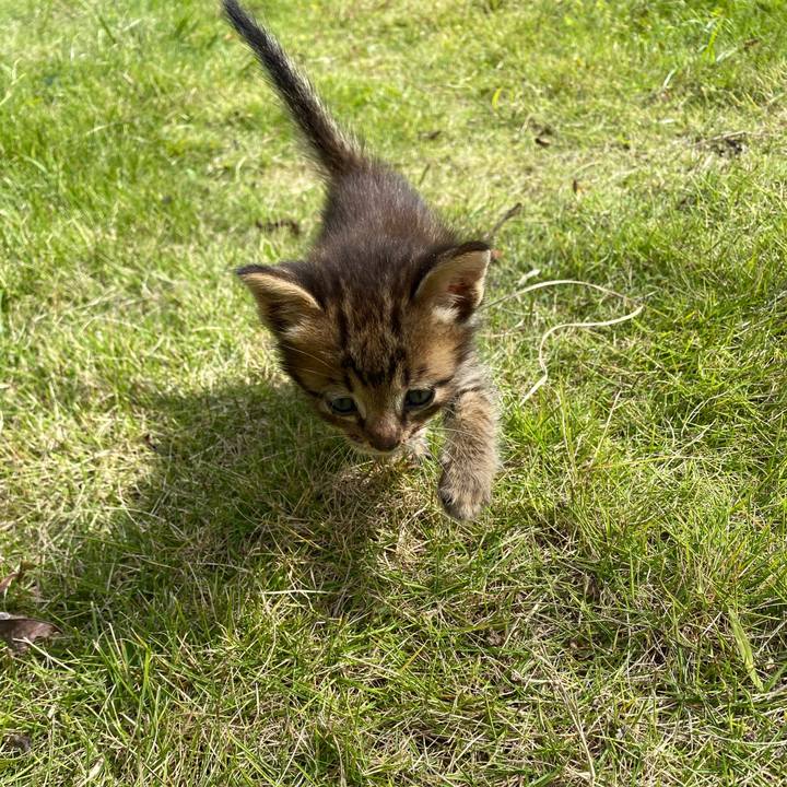 56e7b17d 1714 4a4e 90ba e948226a68c0 1634543141640