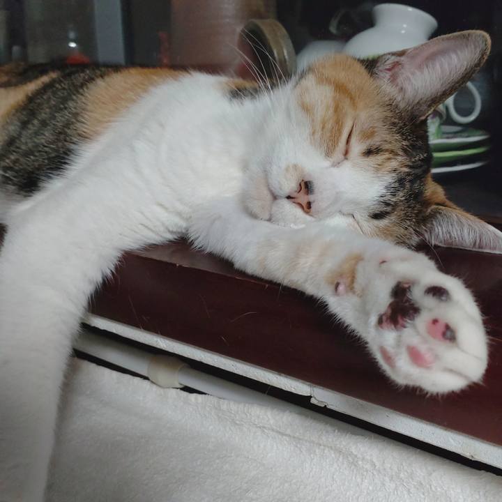 56e7b8c9 683f 4bf3 9c5e 06b66dc1a17a 1672655300690