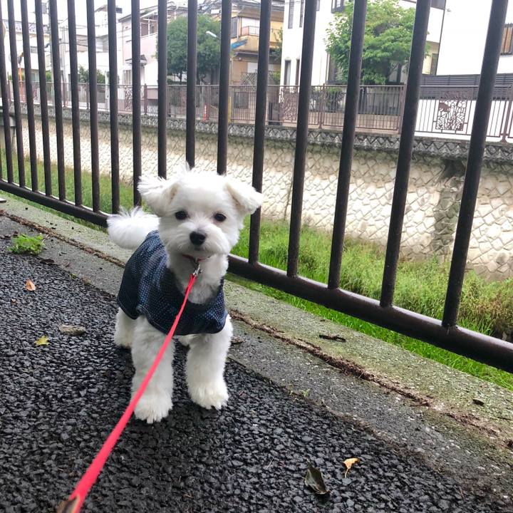 56e7e628 e45c 43eb b77f 40a2a8fc200e 1529476853949