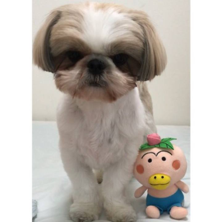 56e7f1f9 c93a 4403 a49b 296a4be990bd 1587643966081