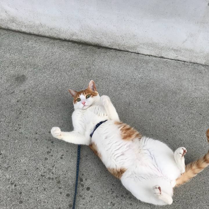 56e81a93 cbd7 4ec3 a0ac 1f4bb04b6583 1516423178257