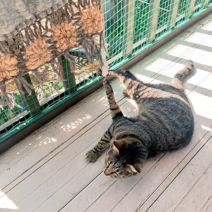 56e831e6 4f96 48d4 adcb 430c5d872f39 1523581284844