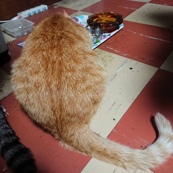 56e834bd e353 4c2c b6db 4b7a06a9a177 1590265116853