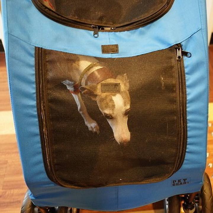 56e85df0 8c45 4711 83b5 d562056a3091 1540995977427