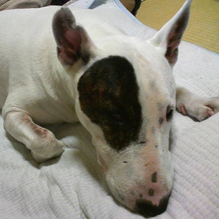 56e88af1 48ec 4c1c b26b 10cef2036739 1528465239302