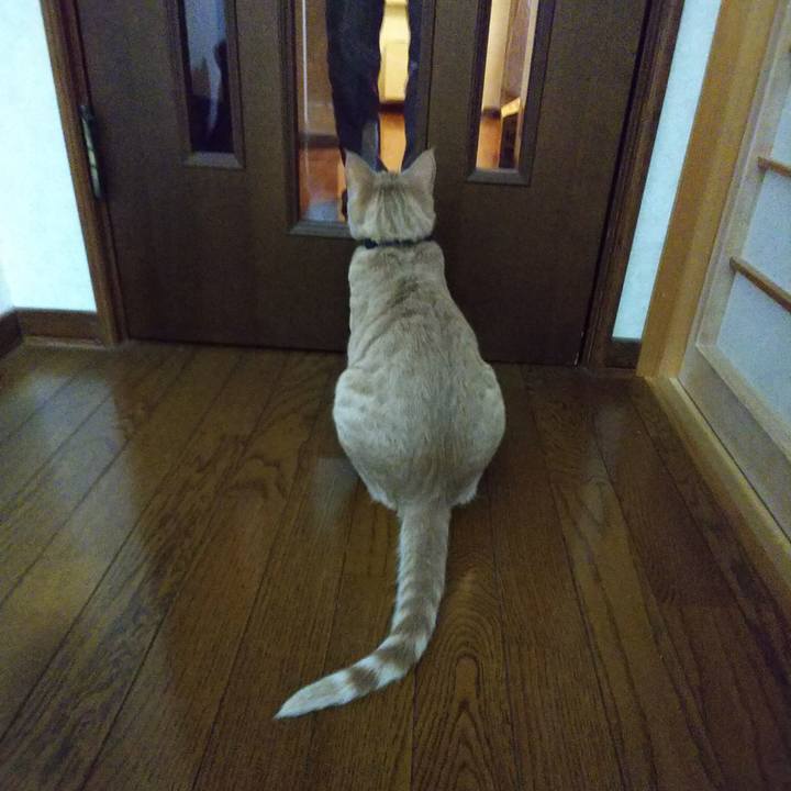 56e88f4e 4f3c 4798 94bf 5870a4345d1e 1550061261871