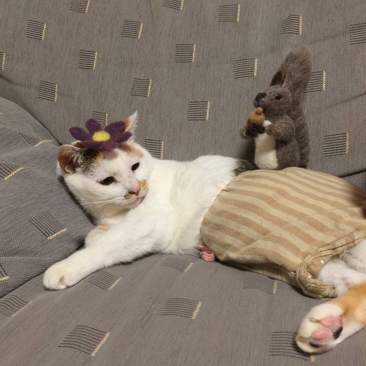 56e8e3fa 9987 429b 85bc 95f0699cade2 1508492590879