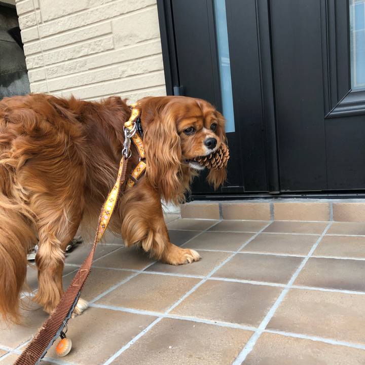 56e8e8c5 ed0f 4105 bb58 0925eac987e1 1616892119016